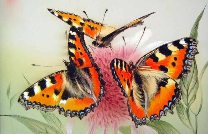 Бабочки акварелью - Генделева_0.jpg